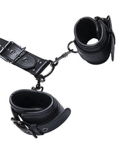Load image into Gallery viewer, Kinky Play Box Locking Harness Collar to Wrist Restraints