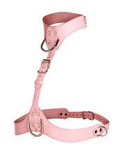 Load image into Gallery viewer, Vixen Female Chest Harness