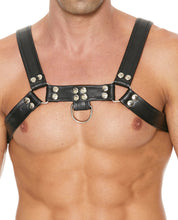 Load image into Gallery viewer, The Gladiator Harness