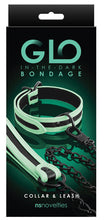 Load image into Gallery viewer, GLO Bondage - Collar and Leash
